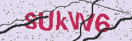 Güvenlik Kodu