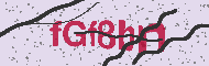 Güvenlik Kodu